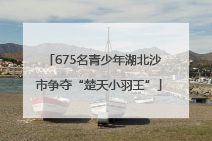 675名青少年湖北沙市争夺“楚天小羽王”