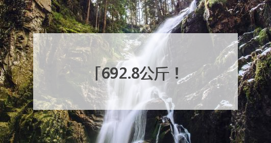 692.8公斤！宿城区小麦百亩示范方平均亩产创新高
