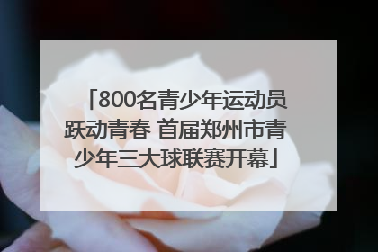 800名青少年运动员跃动青春 首届郑州市青少年三大球联赛开幕