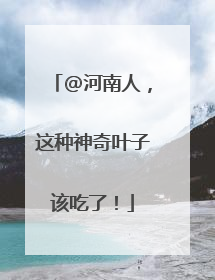 @河南人，这种神奇叶子该吃了！