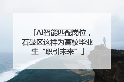 AI智能匹配岗位，石鼓区这样为高校毕业生“职引未来”
