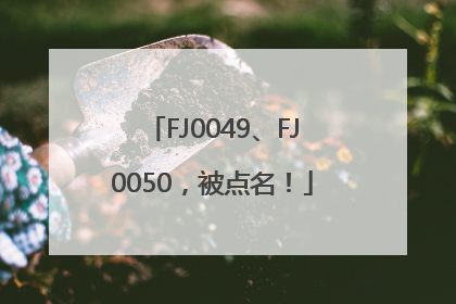 FJ0049、FJ0050，被点名！