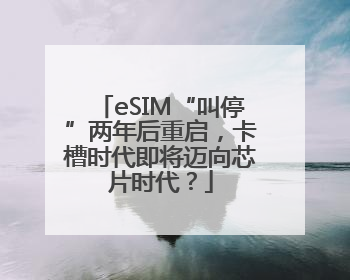 eSIM“叫停”两年后重启，卡槽时代即将迈向芯片时代？